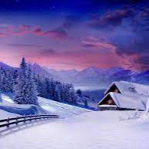 Meet your Posher, Rylee